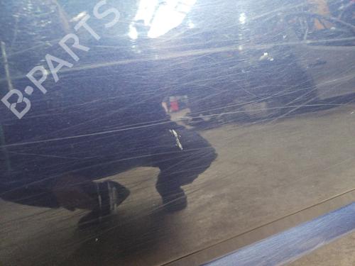 Left front door NISSAN TERRANO II (R20) 2.4 4WD | BP29578409C2