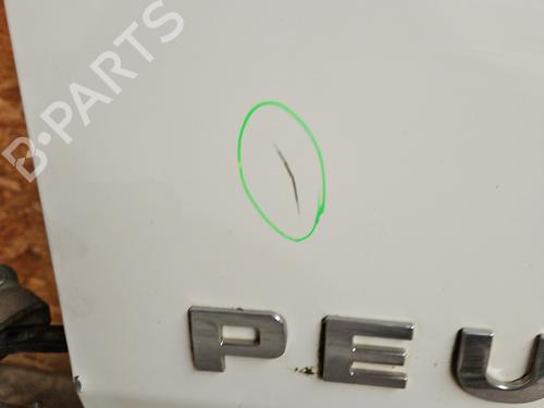 Left tailgate PEUGEOT BOXER Van 2.2 HDi 120 | BP29837775C76