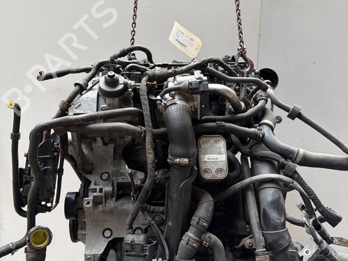 Engine VW GOLF V (1K1) | BP37672011M1 - Image 6