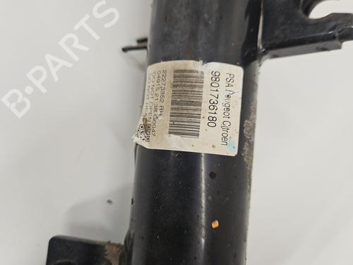 Right front shock absorber CITROËN C3 II (SC_) 1.2 VTi 82 | BP37734532M17 - Image 4