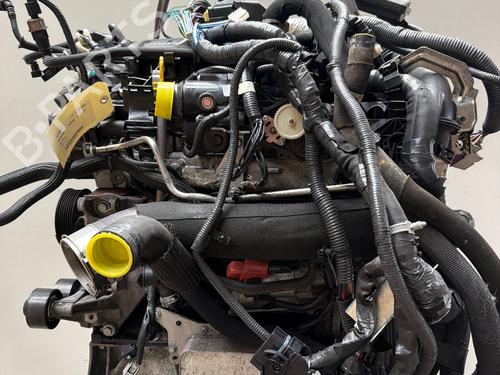 Engine NISSAN QASHQAI II (J11, J11_) 1.6 dCi | BP38056192M1 - Image 2