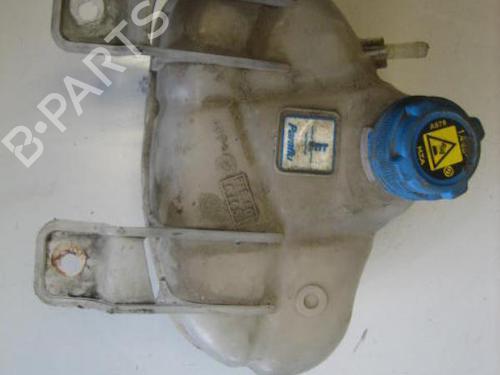 Used Expansion tank FIAT GRANDE PUNTO (199_) 1.3 D Multijet (75 hp) 24374571