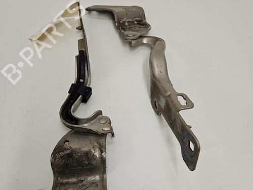 Dørhængsel/Dørbegrænser RENAULT CLIO III (BR0/1, CR0/1) 1.5 dCi (BR17, CR17) (86 hp) 29895703