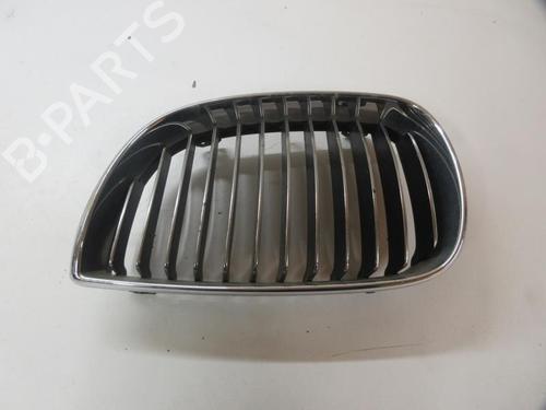 Used Grille BMW 1 (E87) 120 d (163 hp) 20895353