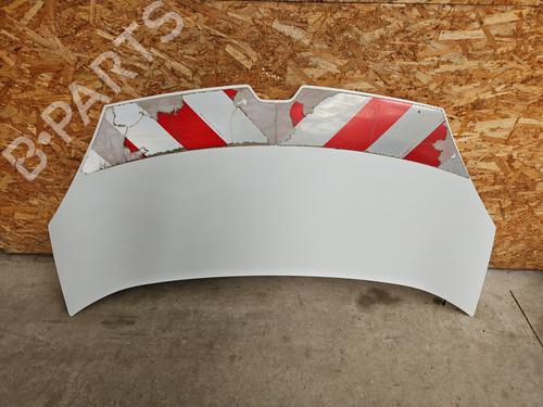 Used Hood RENAULT KANGOO Express (FW0/1_) Z.E. (FW0Z, FW1Z) (60 hp) 28091093
