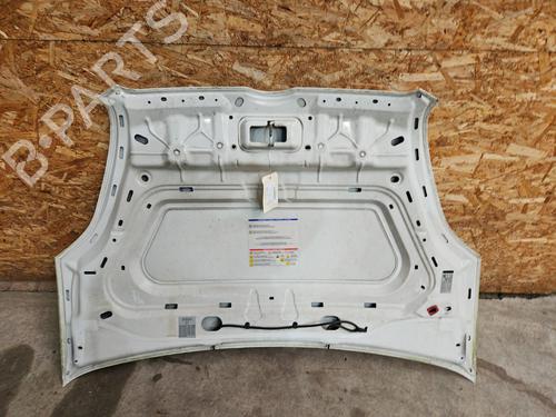 Motorhjelm OPEL COMBO Box Body/MPV (X12) 1.3 CDTI (B05) | BP31020046C1 