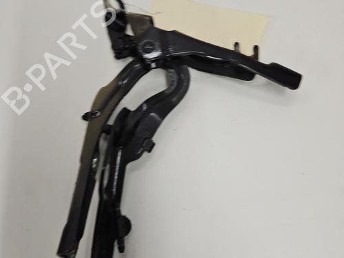 Hinge/Door check strap CITROËN C3 Picasso (SH_) 1.6 HDi | BP29300893C146 