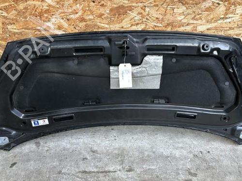 Used Hood PEUGEOT 1007 (KM_) 1.6 HDi (109 hp) 23843021