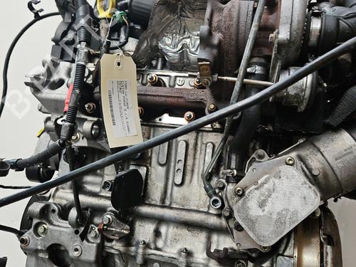 Used Engine FORD FUSION (JU_) 1.4 TDCi (68 hp) 31025469