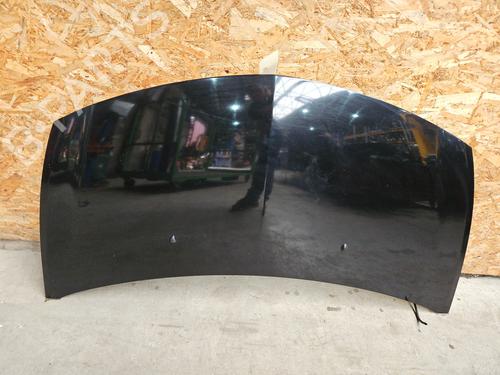 Used Hood RENAULT CLIO III (BR0/1, CR0/1) 1.2 16V Hi-Flex (BR1U, CR1U) (75 hp) 27886309