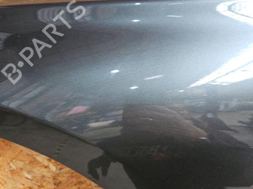 Left front fenders BMW 3 Touring (F31) 320 d xDrive | BP29565319C41 