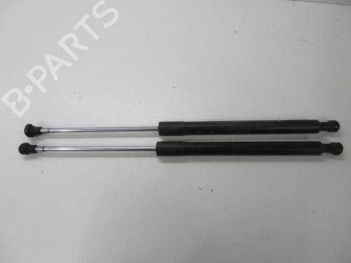 Used Hinge/Door check strap RENAULT CLIO III (BR0/1, CR0/1) 1.5 dCi (C/BR0G, C/BR1G) (68 hp) 20894729
