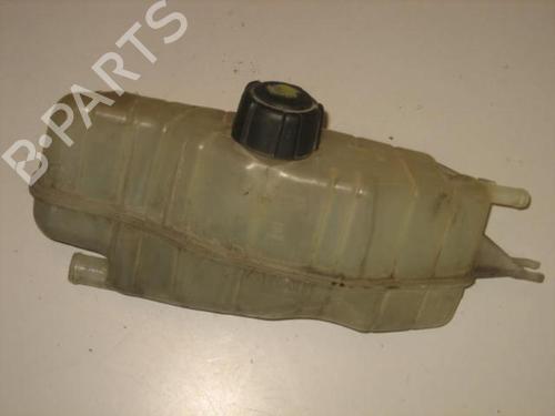 Used Expansion tank RENAULT CLIO III (BR0/1, CR0/1) 1.5 dCi (BR17, CR17) (86 hp) 20904139