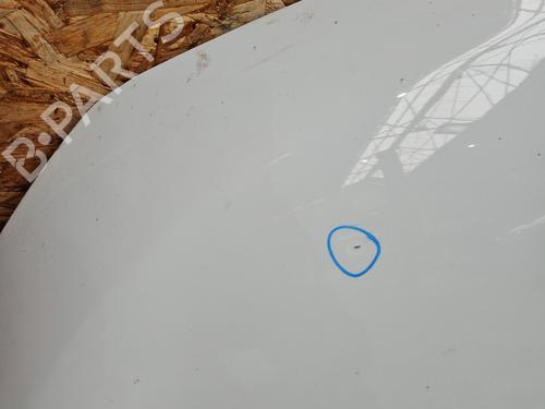 Hood DACIA LODGY (JS_) 1.2 TCe (JSAY, JSM0) | BP29196664C1 
