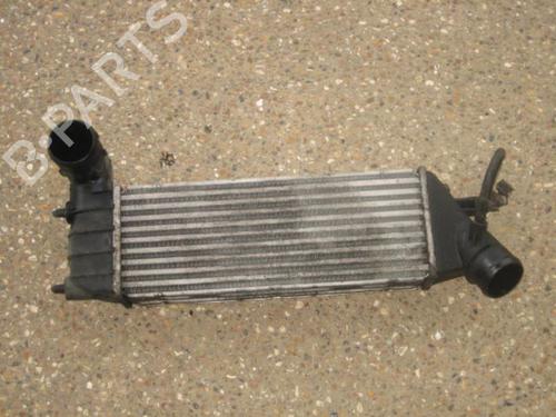 Used Intercooler PEUGEOT 807 (EB_) 2.0 HDi (107 hp) 20899105