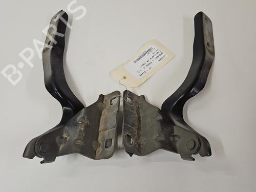 Hinge/Door check strap NISSAN QASHQAI I (J10, NJ10) 1.5 dCi | BP25879616C146 