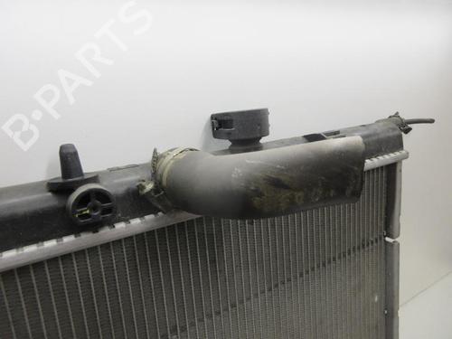 Used Water radiator Water radiator PEUGEOT 207 (WA_, WC_) 1.4 16V (95 hp) 20897398 20897398