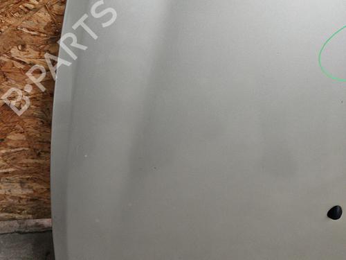 Hood RENAULT CLIO III (BR0/1, CR0/1) 1.5 dCi (BR17, CR17) | BP29895692C1