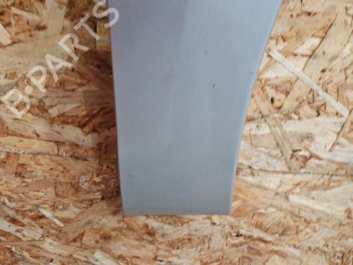 Right front fenders RENAULT SCÉNIC III (JZ0/1_) 1.2 TCe | BP29895724C42 