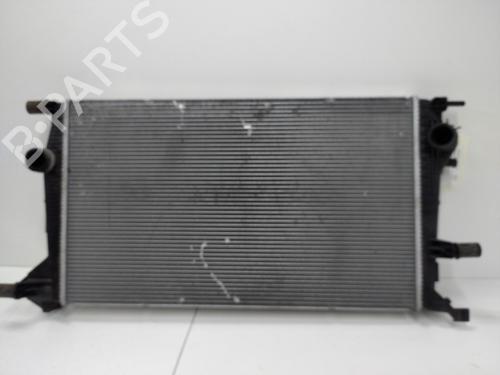 Used Water radiator Water radiator RENAULT MEGANE III Coupe (DZ0/1_) 1.6 dCi (DZ00, DZ12, DZ2A, DZ13) (130 hp) 20887863 20887863