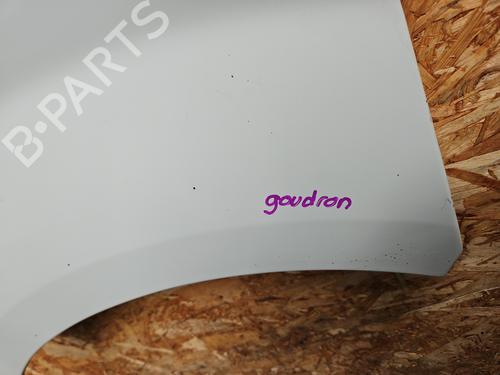 Left front fenders OPEL VIVARO A Van (X83) 2.0 CDTI (F7) | BP24195392C41 