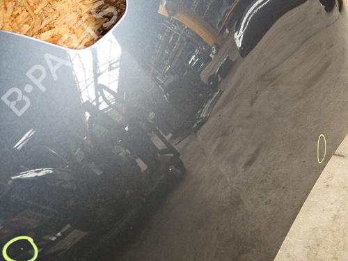 Motorhjelm RENAULT ZOE (BFM_) ZOE | BP31873624C1 