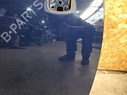 Right front door RENAULT SCÉNIC III (JZ0/1_) 1.5 dCi | BP29640300C3 