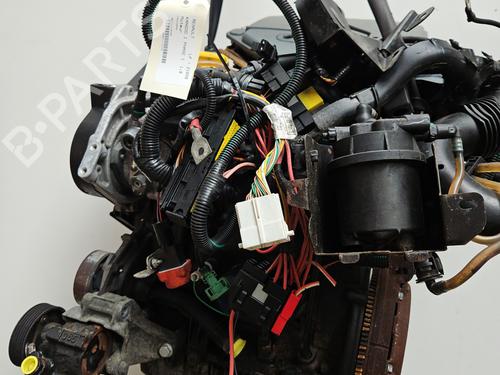 Used Engine RENAULT KANGOO (KC0/1_) D 65 1.9 (KC0E, KC02, KC0J, KC0N) (64 hp) 28705399