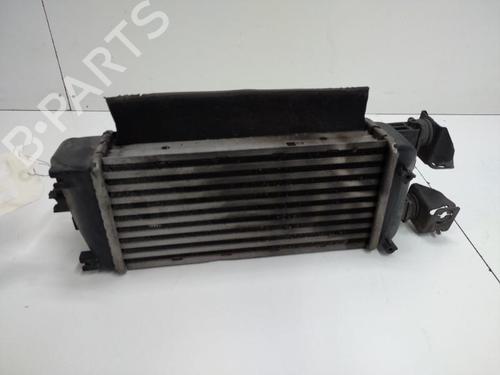 Used Intercooler FORD KA (RU8) 1.3 TDCi (75 hp) 20904968