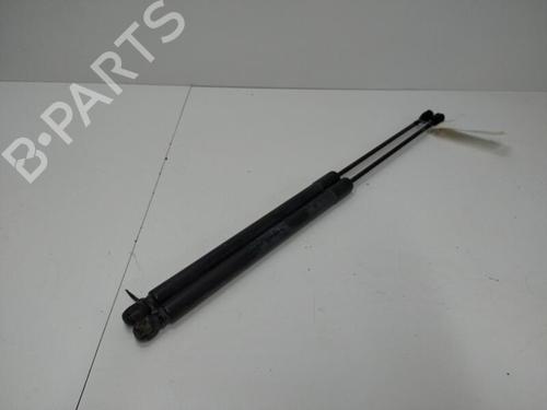 Tailgate lift support FORD KUGA I 2.0 TDCi | BP20905222C138