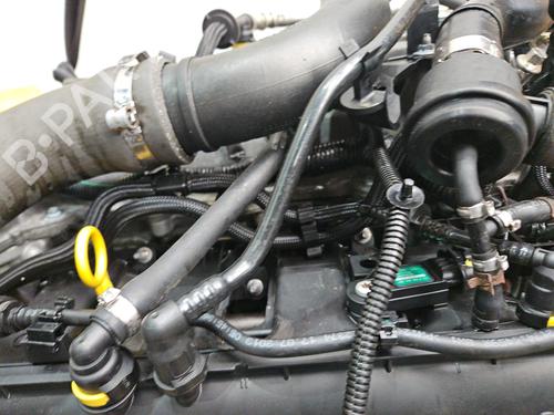 Engine DACIA LODGY (JS_) 1.2 TCe (JSAY, JSM0) | BP29212603M1 