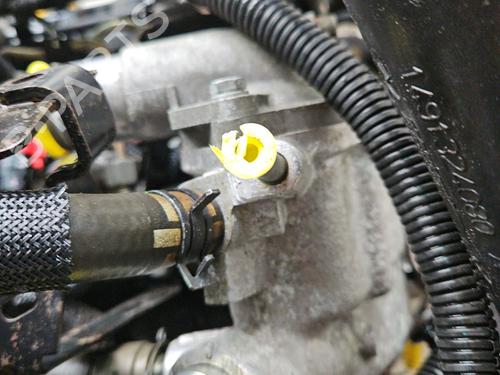 Engine PEUGEOT EXPERT Van (222) 2.0 HDI | BP29392534M1 