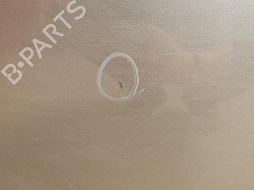 Left front door CITROËN C3 II (SC_) 1.4 HDi 70 (SC8HZC, SC8HR0, SC8HP4) | BP27438073C2 