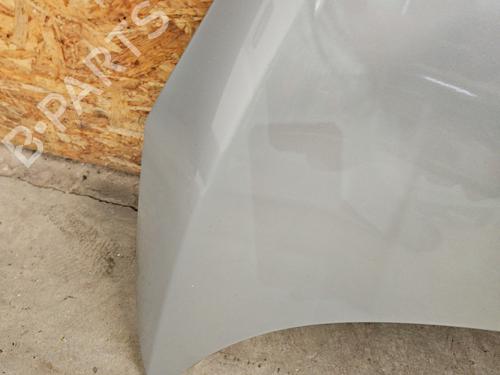 Hood RENAULT SCÉNIC III (JZ0/1_) 1.2 TCe | BP29895726C1 