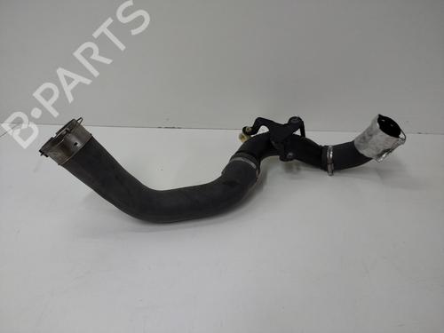 Used Pipe NISSAN JUKE (F15) 1.2 DIG-T (115 hp) 20907273