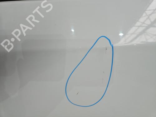 Left front door RENAULT TRAFIC III Van (FG_) 1.6 dCi 125 (FGMH) | BP29578456C2 