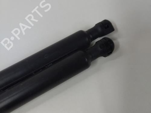 Tailgate lift support PEUGEOT 308 SW II (LC_, LJ_, LR_, LX_, L4_) 1.6 BlueHDi 120 | BP20901668C138 
