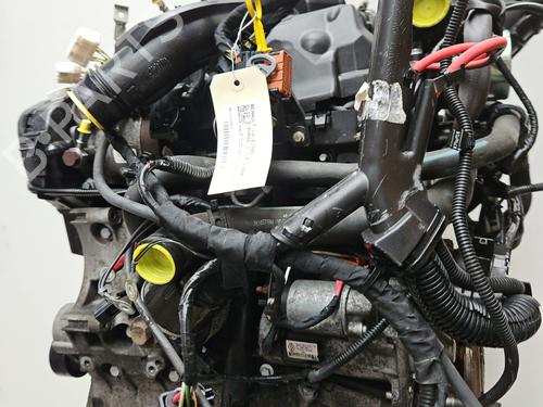 Motor RENAULT CLIO III (BR0/1, CR0/1) 1.5 dCi (BR17, CR17) | BP30046147M1