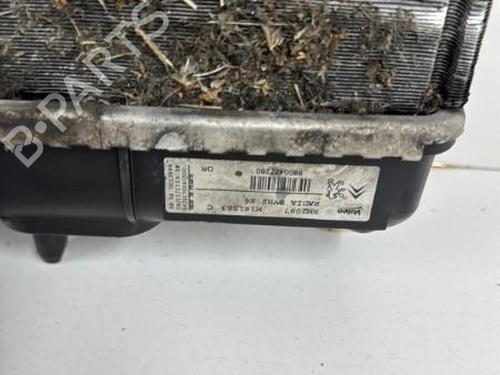 Used Water radiator Water radiator CITROËN C4 II (NC_) 1.6 BlueHDi 120 (120 hp) 20905010 20905010