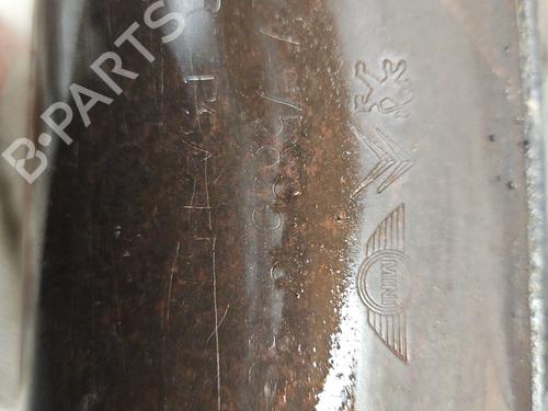 Catalyst PEUGEOT 2008 I (CU_) 1.6 VTi | BP31301291M10 