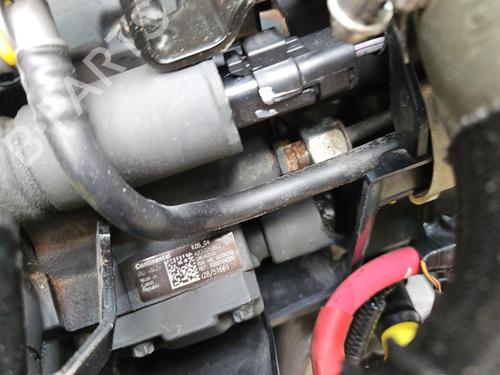 Engine RENAULT SCÉNIC III (JZ0/1_) 1.5 dCi | BP29634456M1 