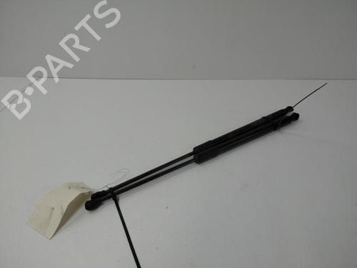 Used Tailgate lift support RENAULT CLIO V (B7_) 1.5 Blue dCi 85 (B7AG) (86 hp) 20900071
