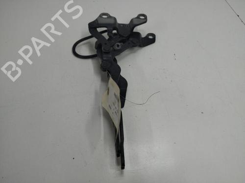 Hinge/Door check strap BMW 3 (E90) 320 i | BP20893859C146 