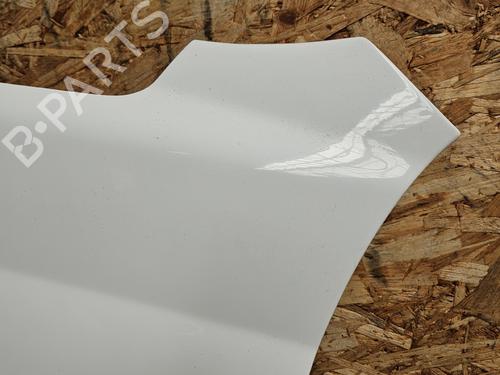 Used Left front fenders Left front fenders PEUGEOT 207 (WA_, WC_) 1.4 HDi (68 hp) 35889322 35889322