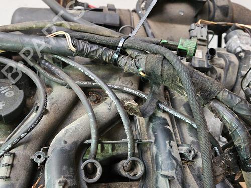 Engine RENAULT TWINGO I (C06_) 1.2 (C066, C068) | BP31118661M1 