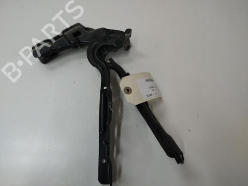 Used Hinge/Door check strap Hinge/Door check strap CITROËN DS4 (NX_) 1.6 HDi 115 (114 hp) 20894339 20894339