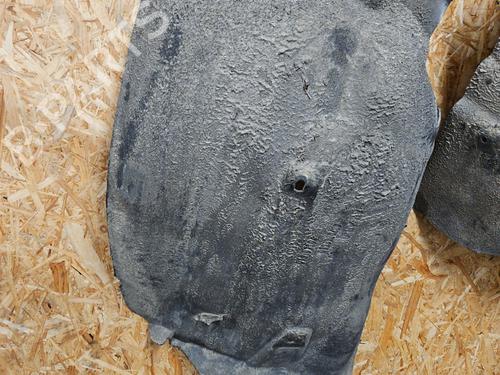 wheel-arch-peugeot-508-i-8d_-2010-2011-2012-2013-2014-2015-2016-2017-2018-24650092 main image