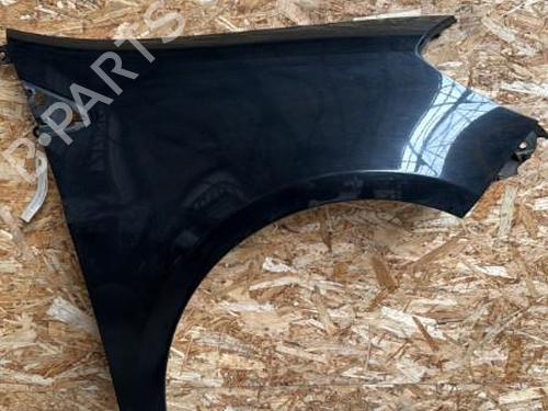 Right front fenders RENAULT CLIO III (BR0/1, CR0/1) 1.5 dCi (C/BR0G, C/BR1G) | BP20899725C42 