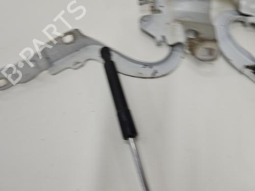 hingedoor-check-strap-renault-zoe-bfm_-2012-29467060 main image