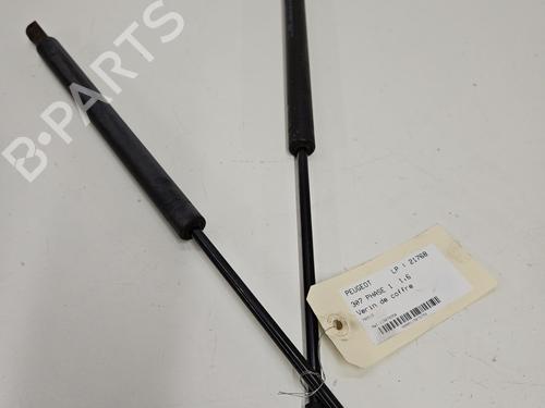 tailgate-lift-support-peugeot-307-3ac-2000-2001-2002-2003-2004-2005-2006-2007-2008-2009-2010-2011-2012-30309986 main image
